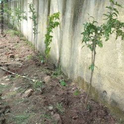 image016